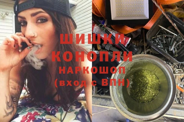 PSILOCYBIN Алзамай