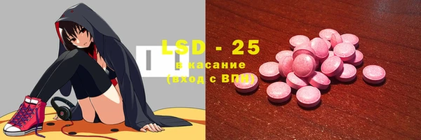 PSILOCYBIN Алзамай
