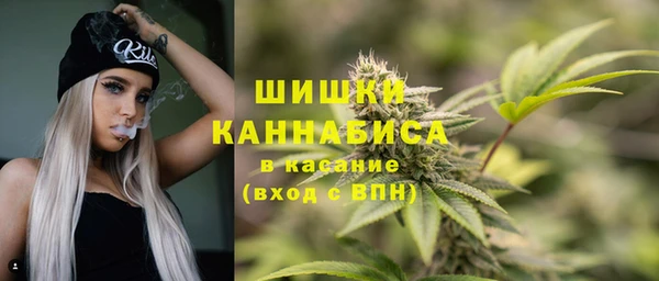 PSILOCYBIN Алзамай