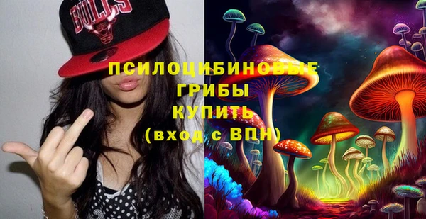 ECSTASY Алексин