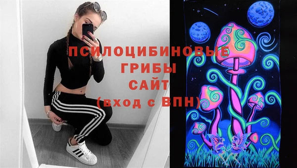 PSILOCYBIN Алзамай