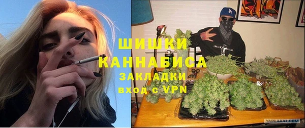 PSILOCYBIN Алзамай