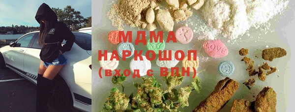 PSILOCYBIN Алзамай