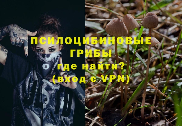 дурь Алексеевка