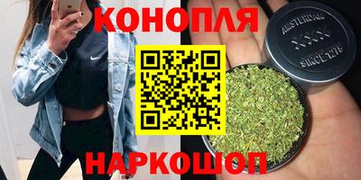 mdpv Краснознаменск
